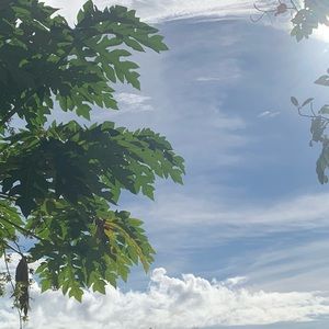 Meet your Posher, Elialyn